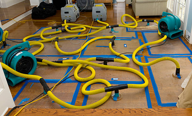 Professional Crawl Space Water Removal technician working in Poolesville, MD